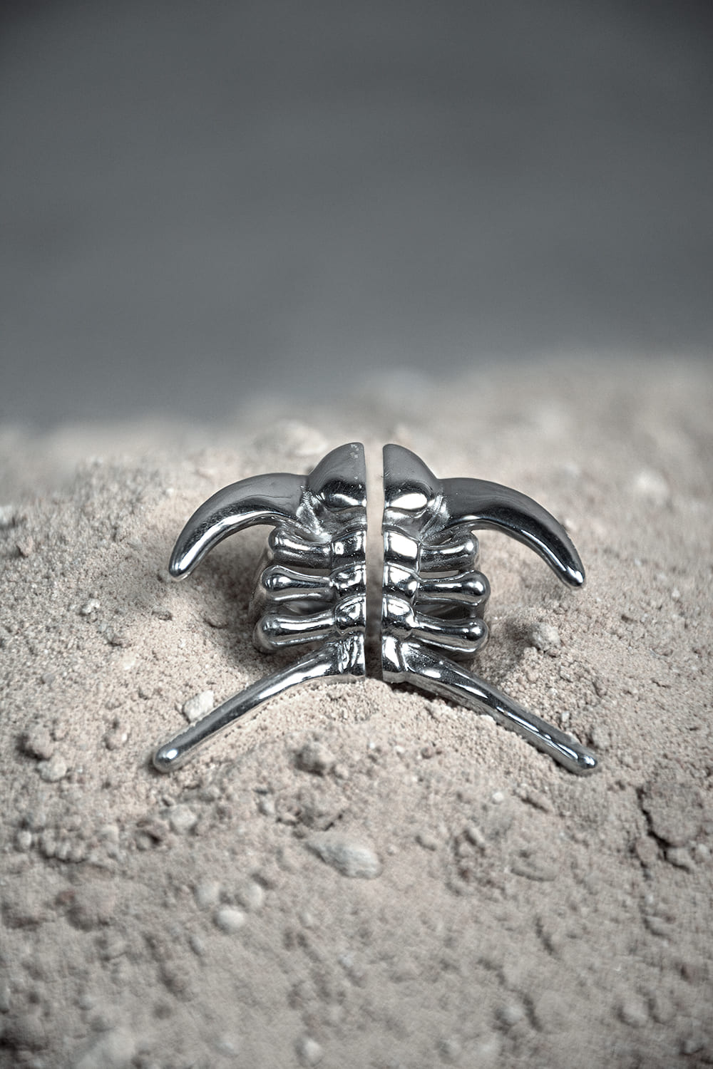 Anillo Deiphon