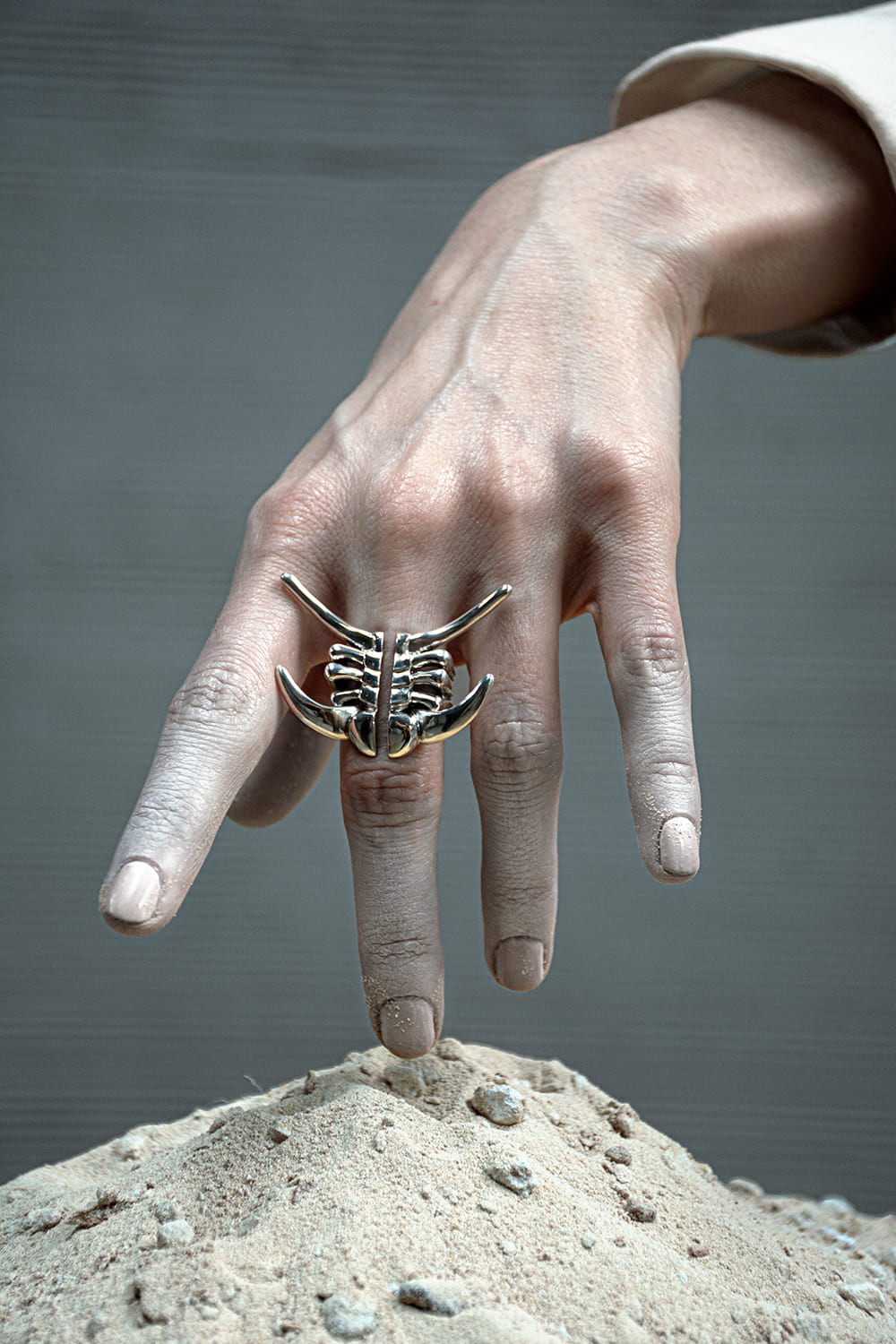 Anillo Deiphon