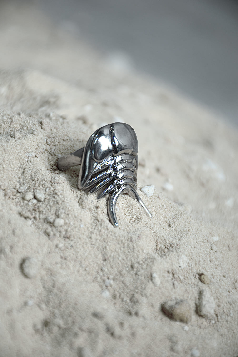 Anillo Ceraurus