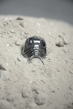 Anillo Ceraurus