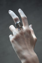 Anillo Ceraurus