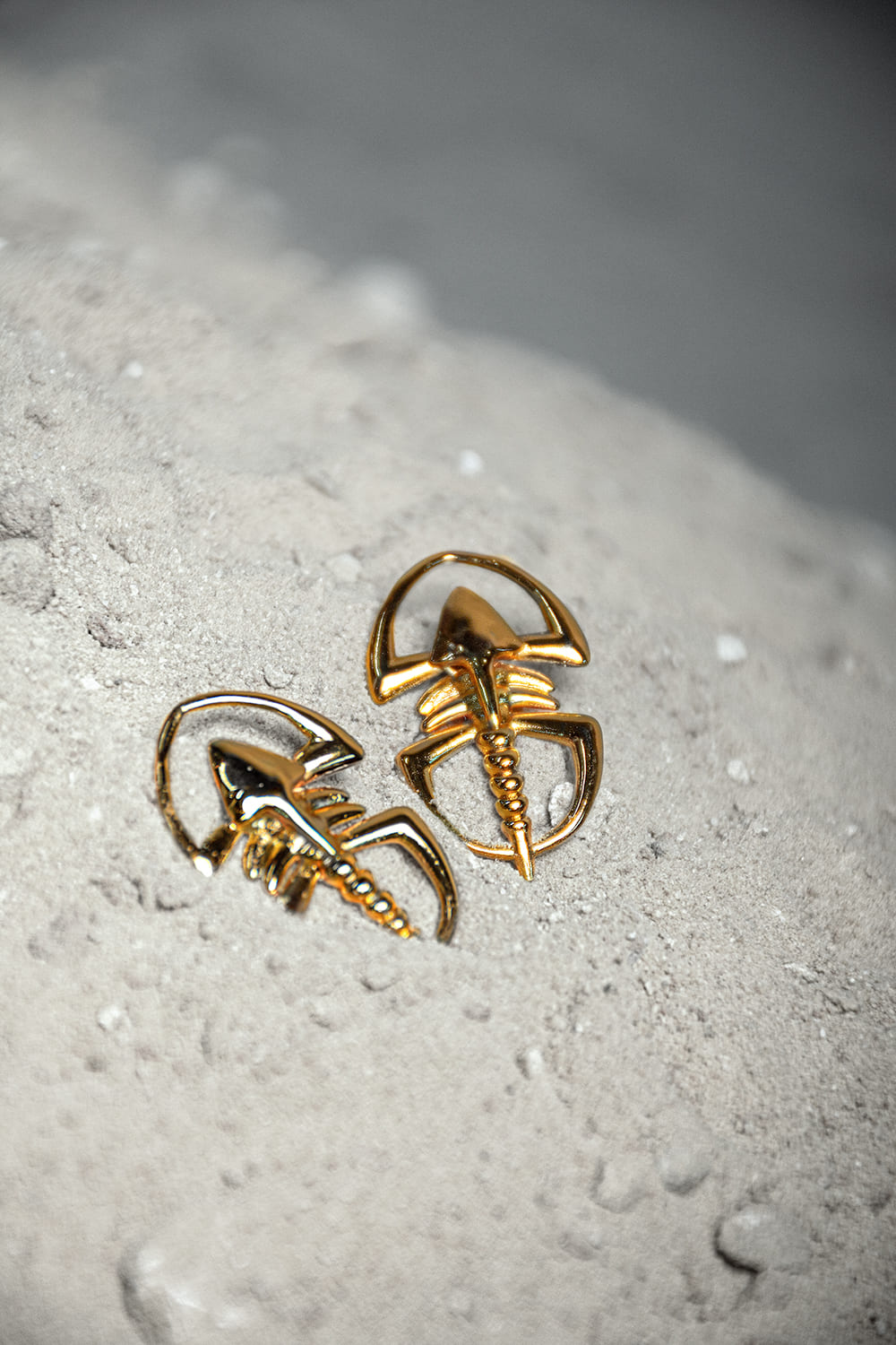 Aretes Pagetia