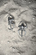 Aretes Pagetia