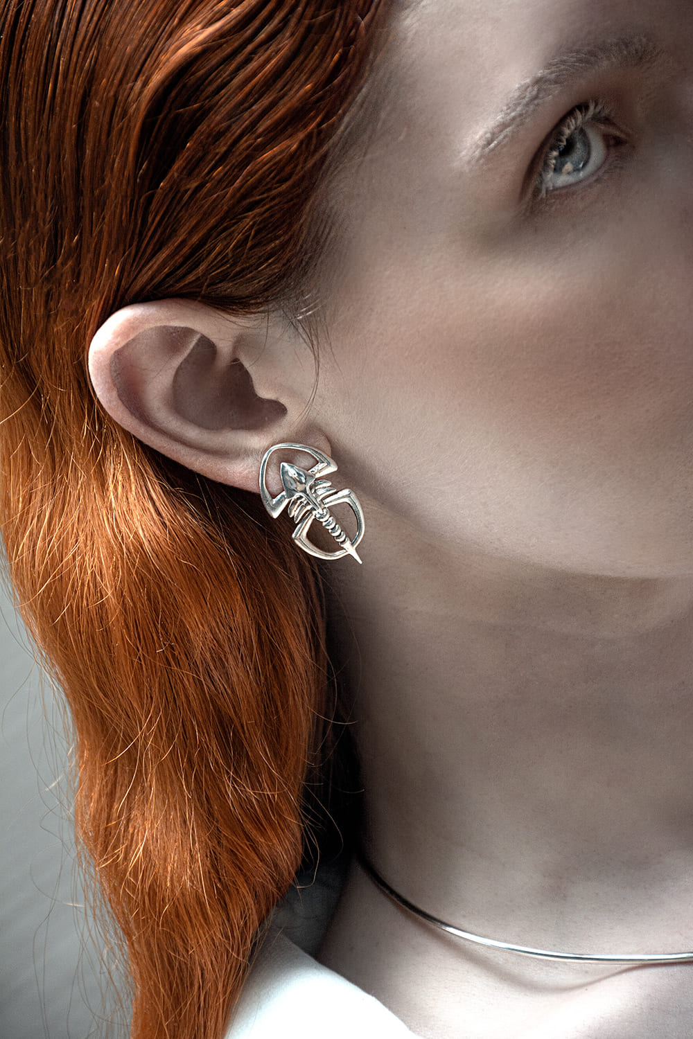 Aretes Pagetia