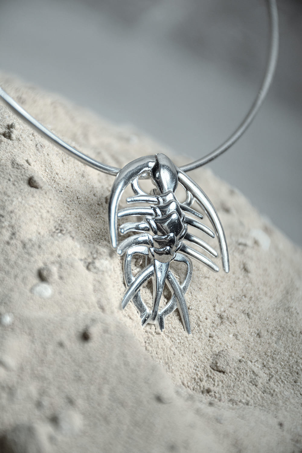 Collar/Prendedor Acanthopyge
