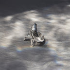 Anillo Ballena Jorobada