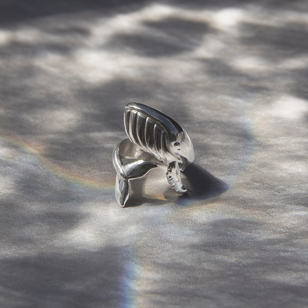 Anillo Ballena Jorobada