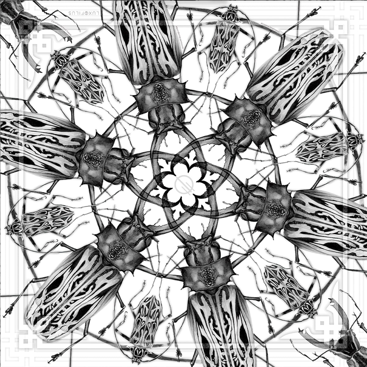 Pañoleta Escarabajos
