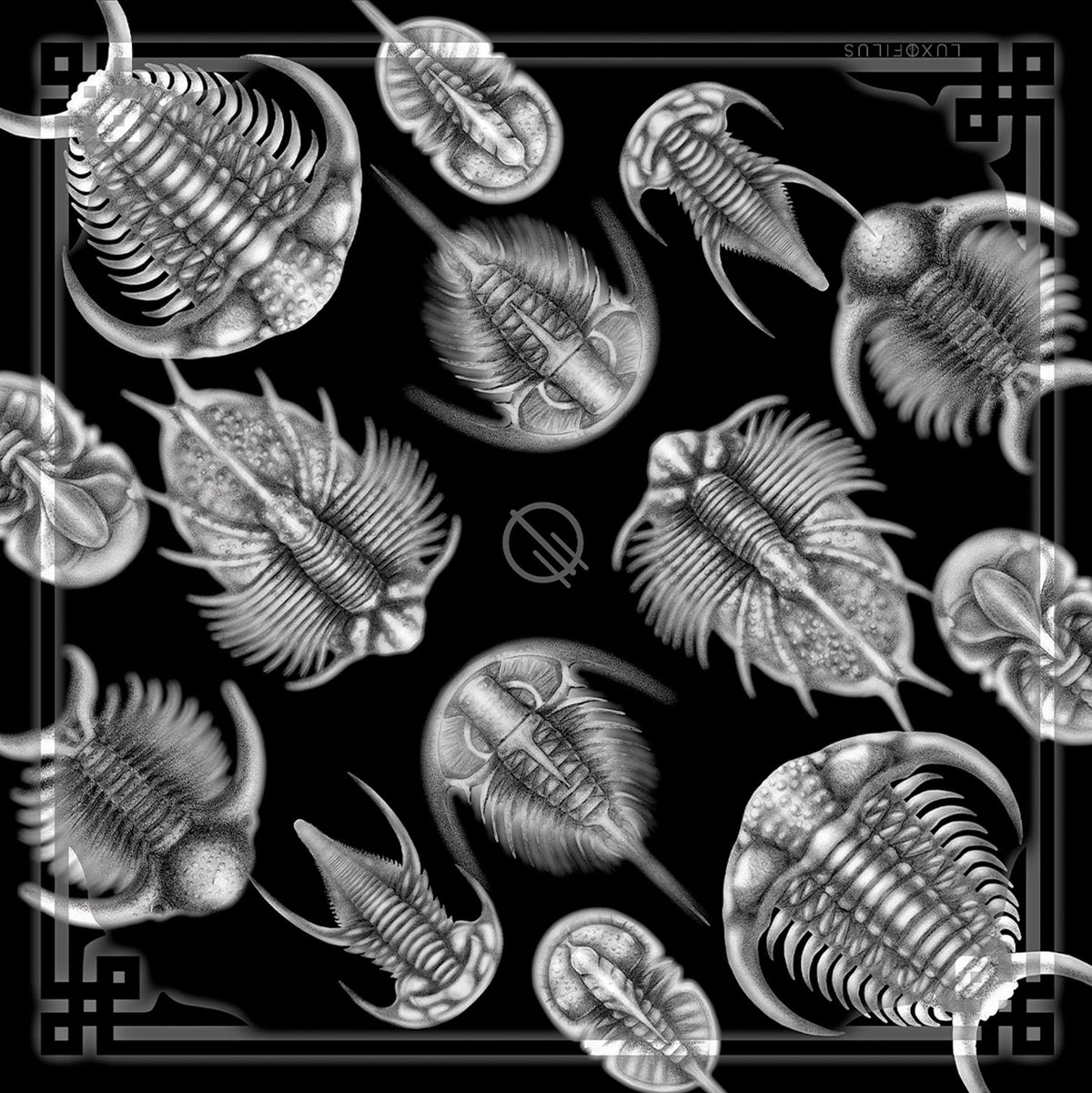 Pañoleta Trilobites
