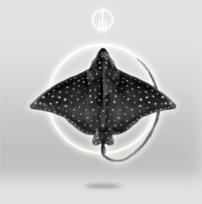 Anillo Raya Águila Moteada