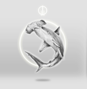 Anillo Tiburón martillo