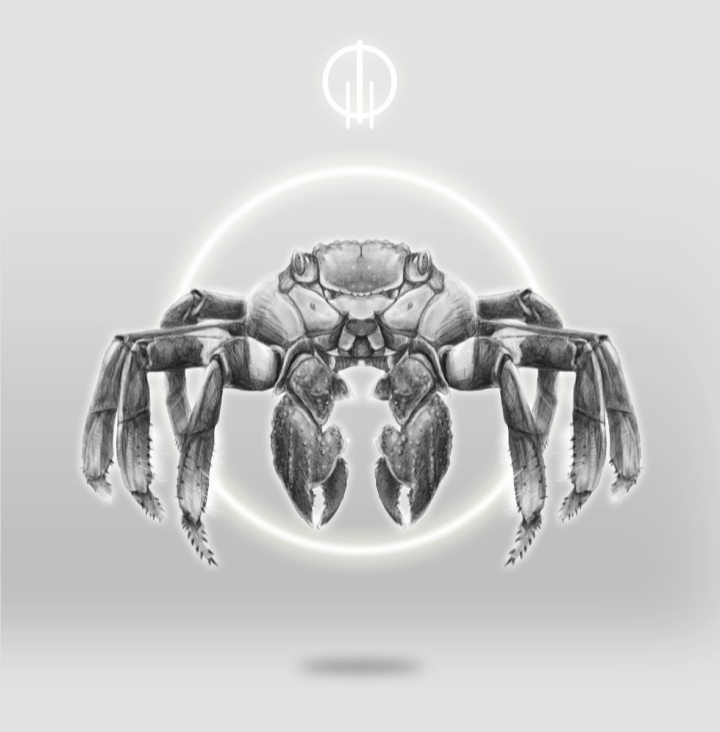 Earcuff Cangrejo rojo