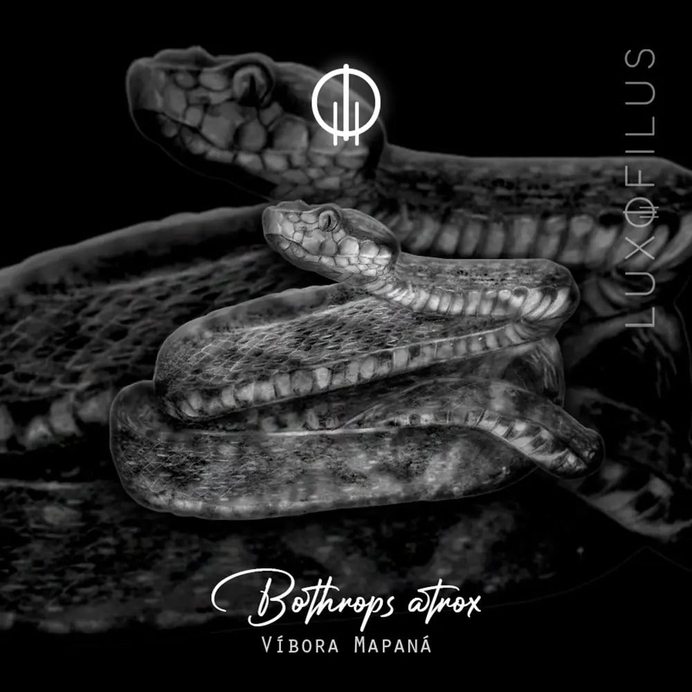 Earcuff Víbora Mapaná