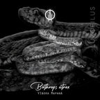 Earcuff Víbora Mapaná