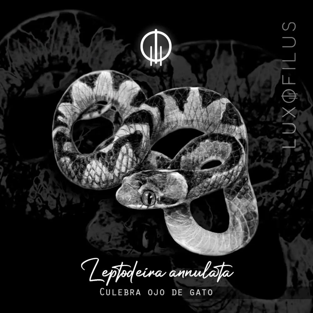 Anillo Culebra Ojo de Gato