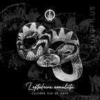 Anillo Culebra Ojo de Gato