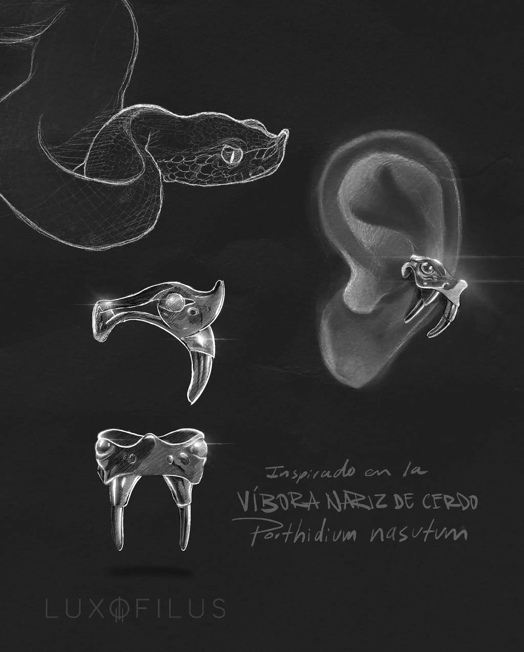 Earcuff Víbora Nariz de Cerdo
