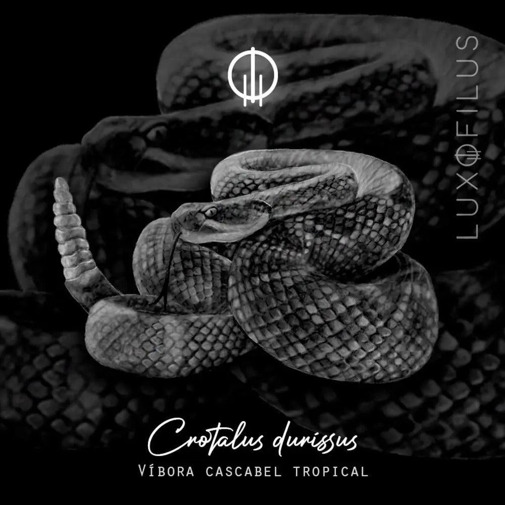 Solitario Vibora Cascabel