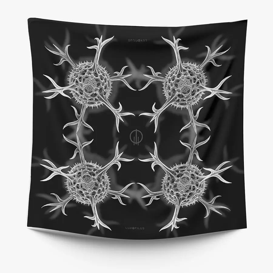 Pañoleta Radiolario Hexancistra