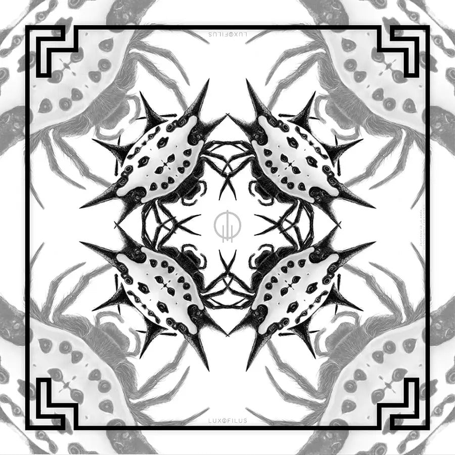 Pañoleta Araña Panadera