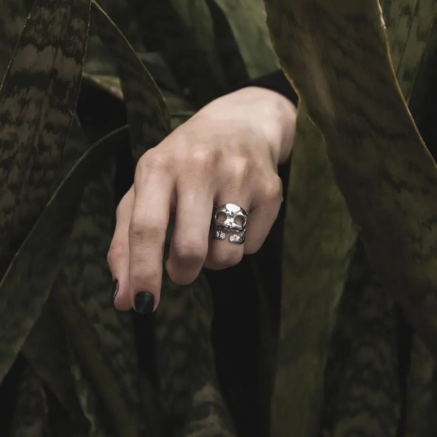 Anillo Mono Nocturno