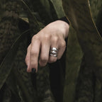 Anillo Mono Nocturno