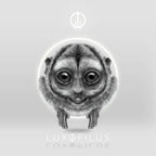 Earcuff Mono Nocturno