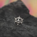 Anillo Hexancistra