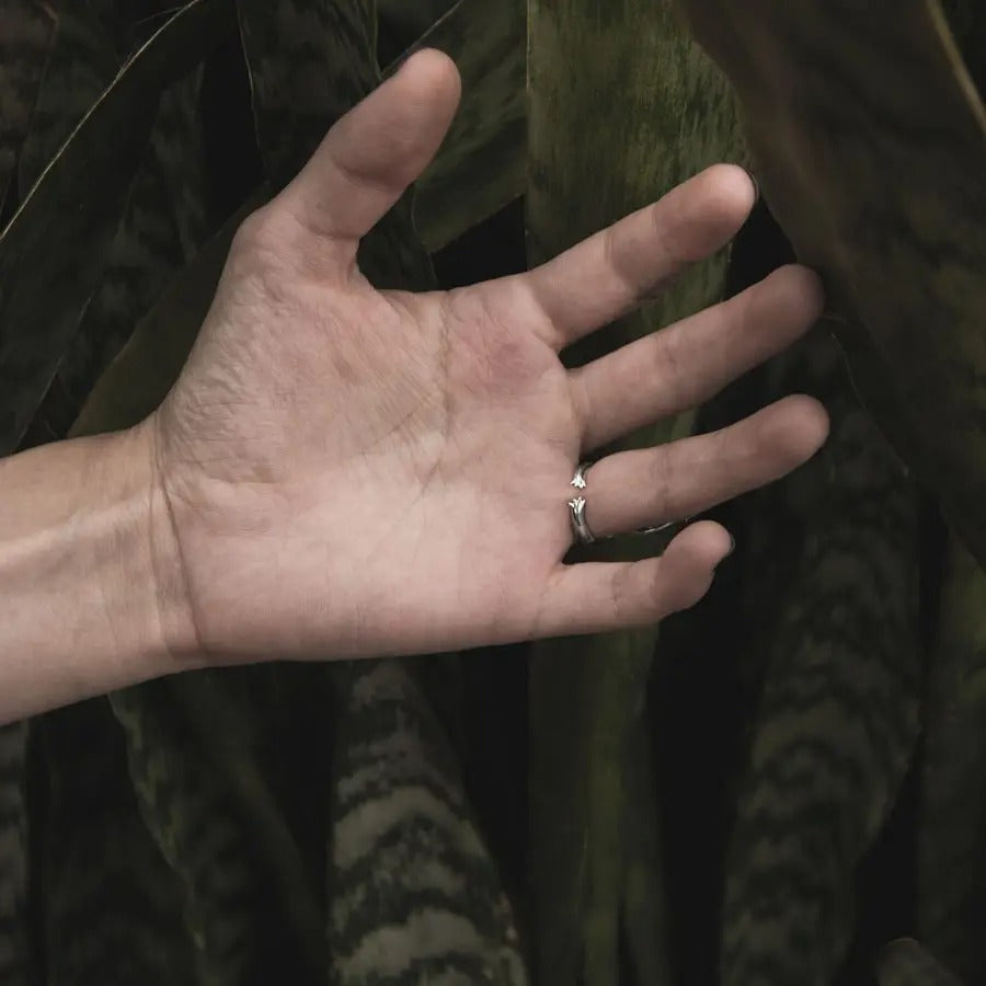 Anillo Capibara o Chigüiro