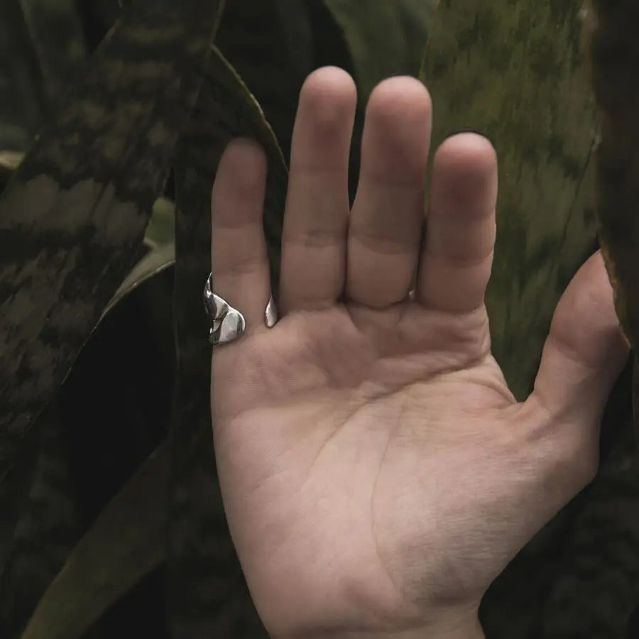 Anillo Mono Nocturno