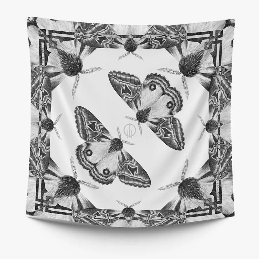 Pañoleta Polilla Erythromeris