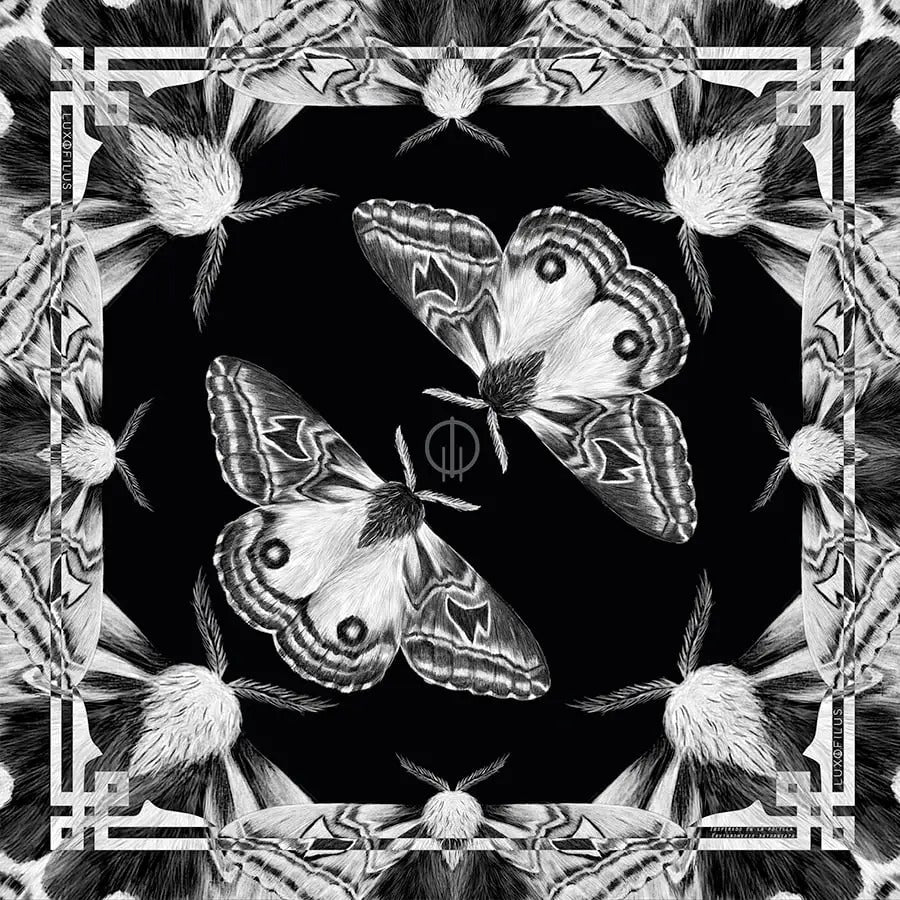 Pañoleta Polilla Erythromeris