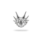 Anillo Oruga Dragón