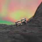 Anillo Clathrocircus