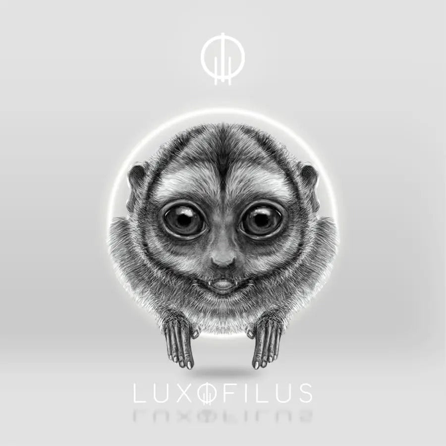 Anillo Mono Nocturno