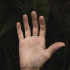 Anillo Tapir Amazónico