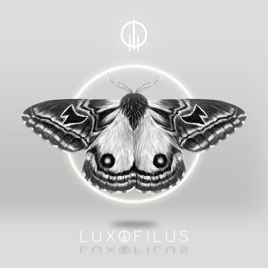 Pañoleta Polilla Erythromeris