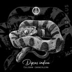 Aretes Culebra Caracolera