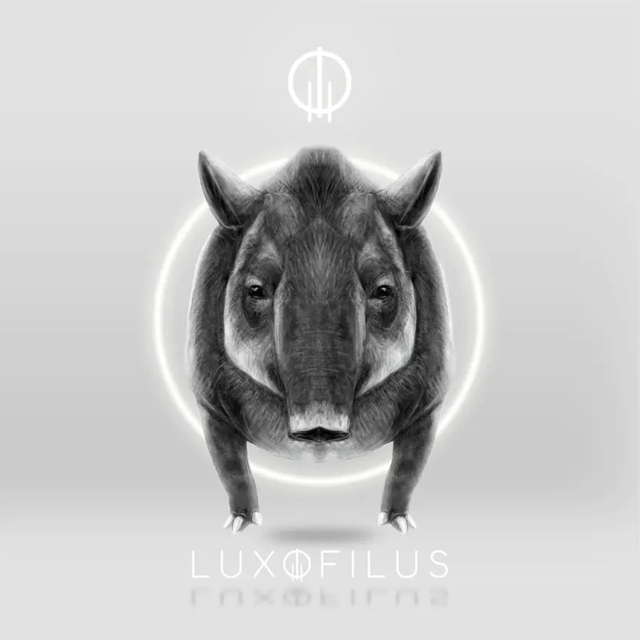 Anillo Tapir Amazónico