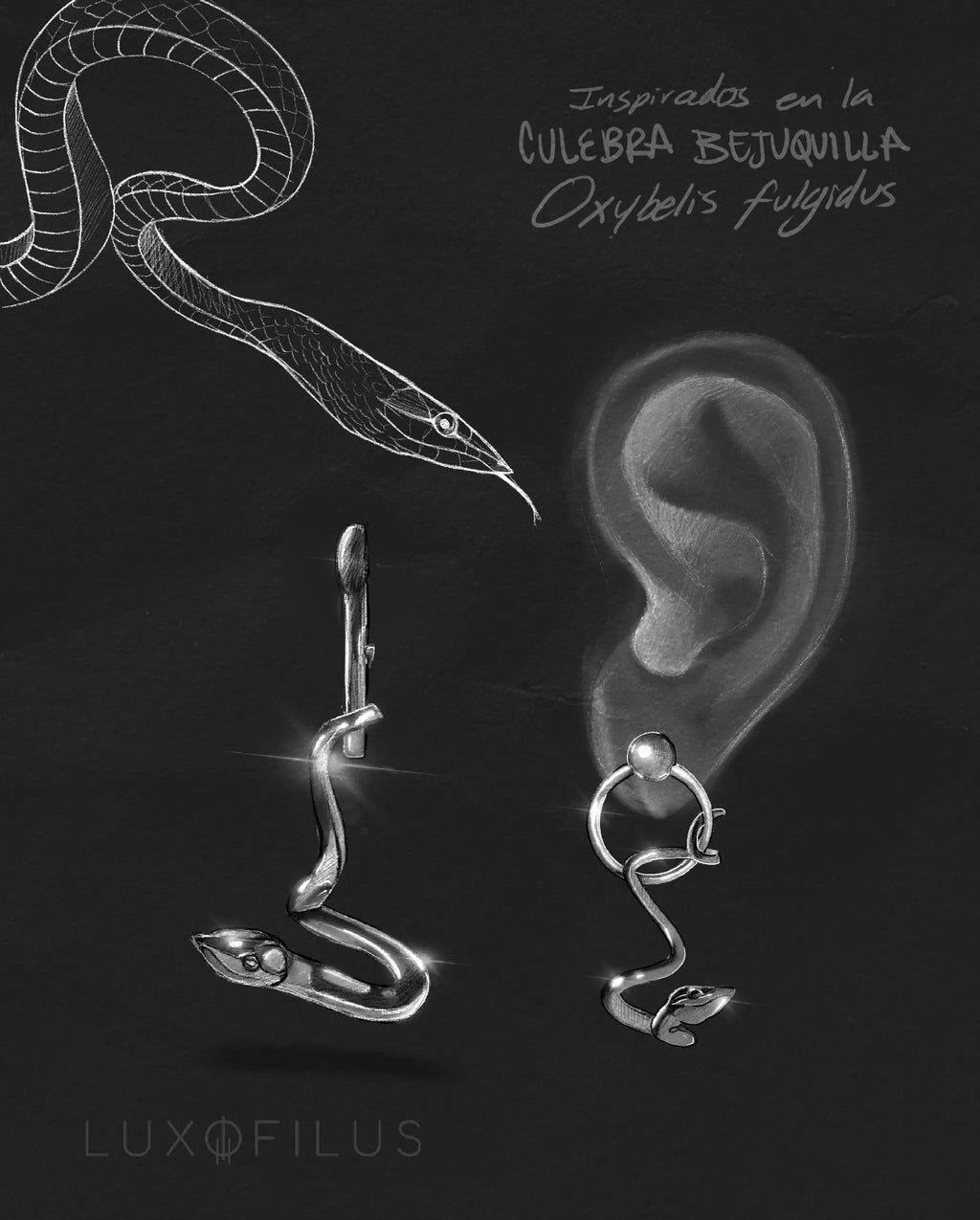 Aretes Culebra Bejuquilla Suspendida