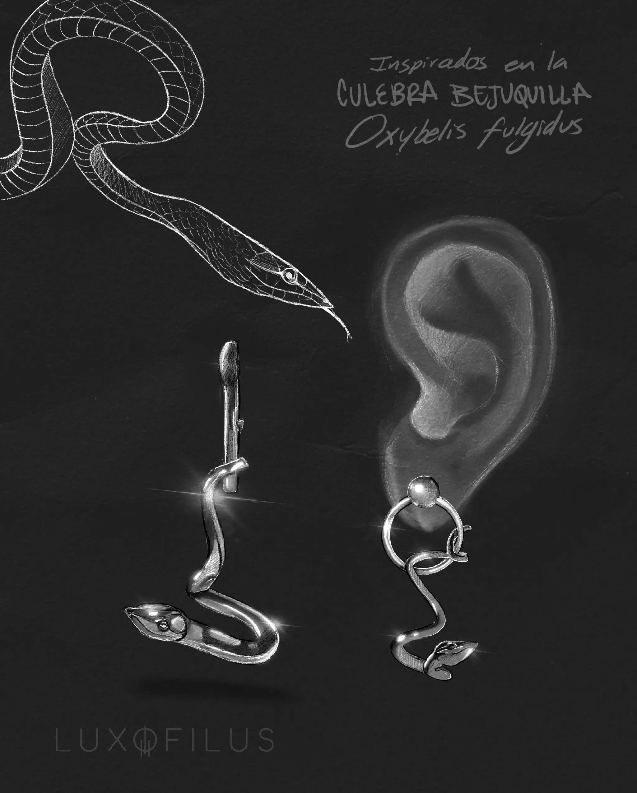 Aretes Culebra Bejuquilla Suspendida