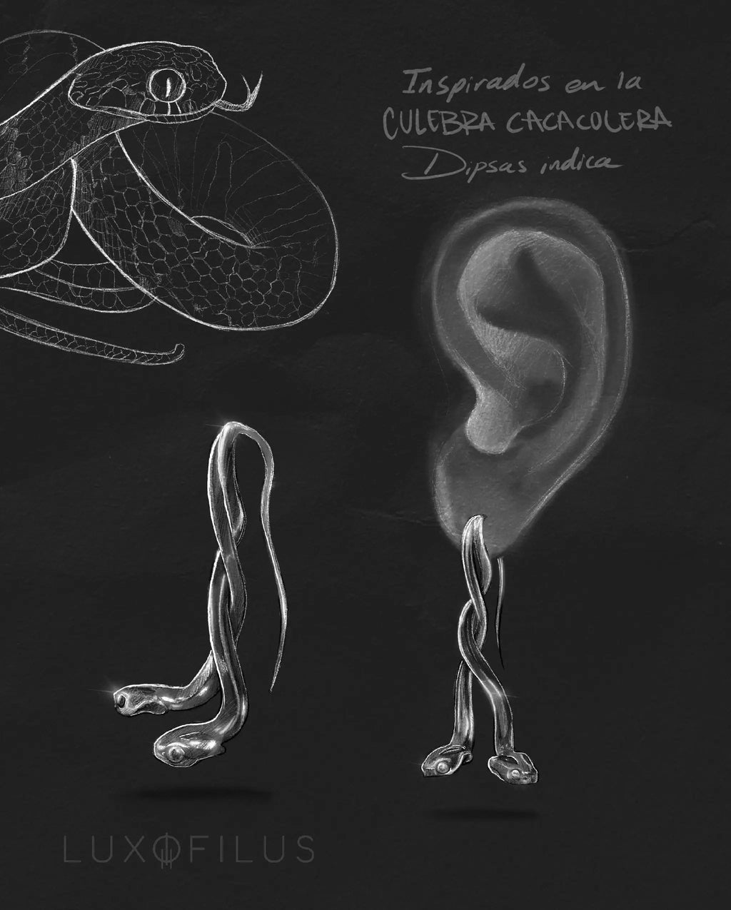 Aretes Culebra Caracolera