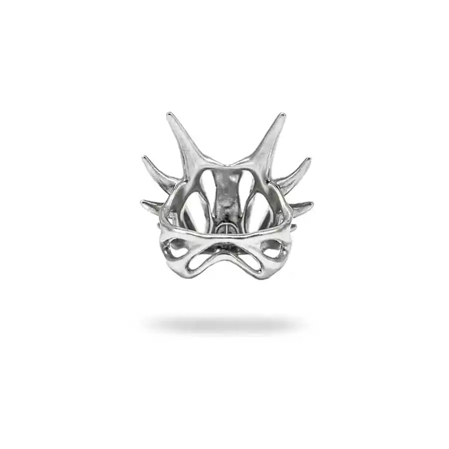 Anillo Oruga Dragón