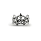 Anillo Clathrocircus