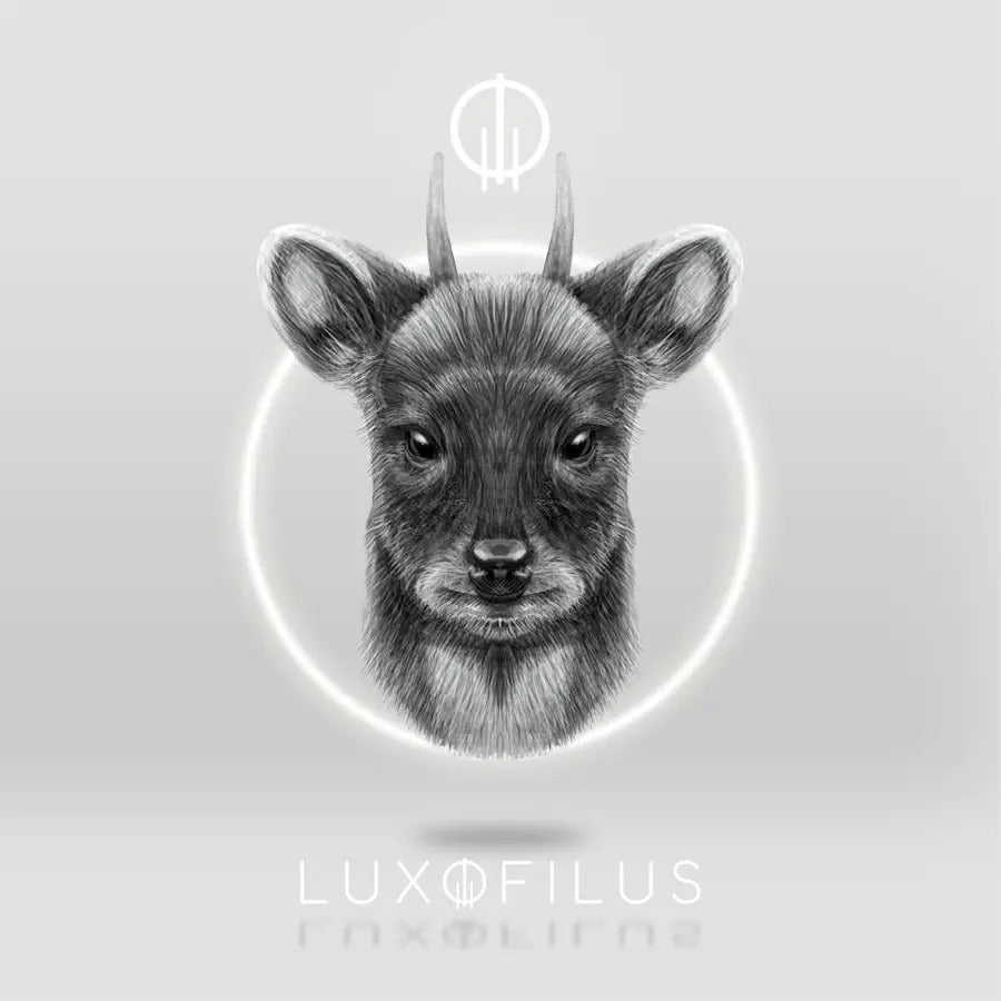 Anillo Pudú o Venado Conejo