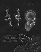 Earcuff Víbora Mapaná