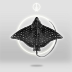 Earcuff Raya águila moteada