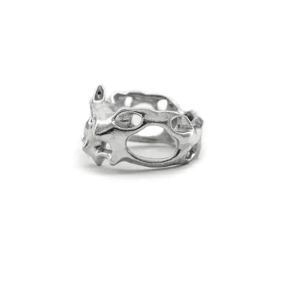 Anillo Clathrocircus